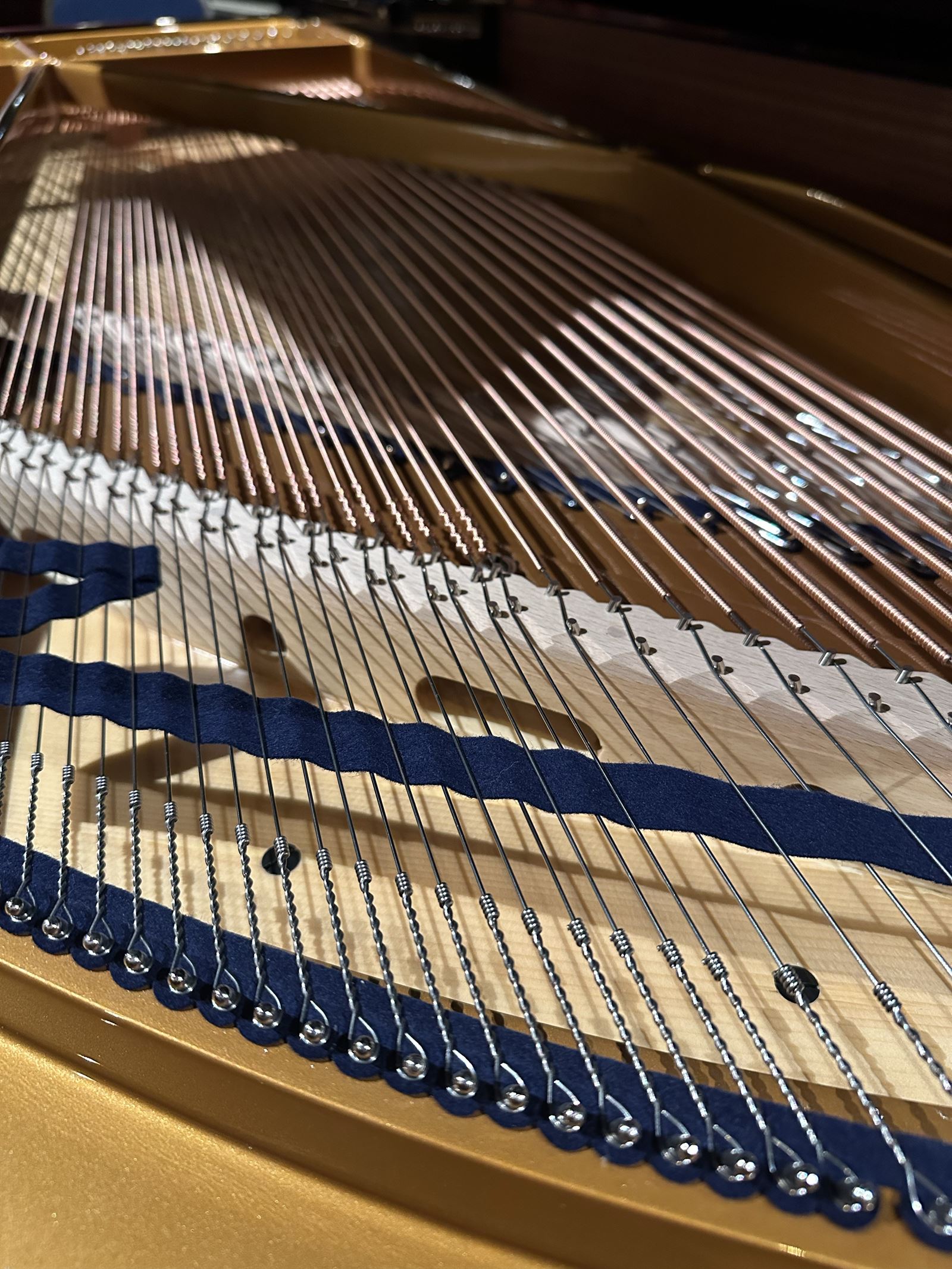 C Bechstein model B 6ft 8" c.1912