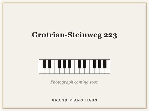 Grotrian-Steinweg 223