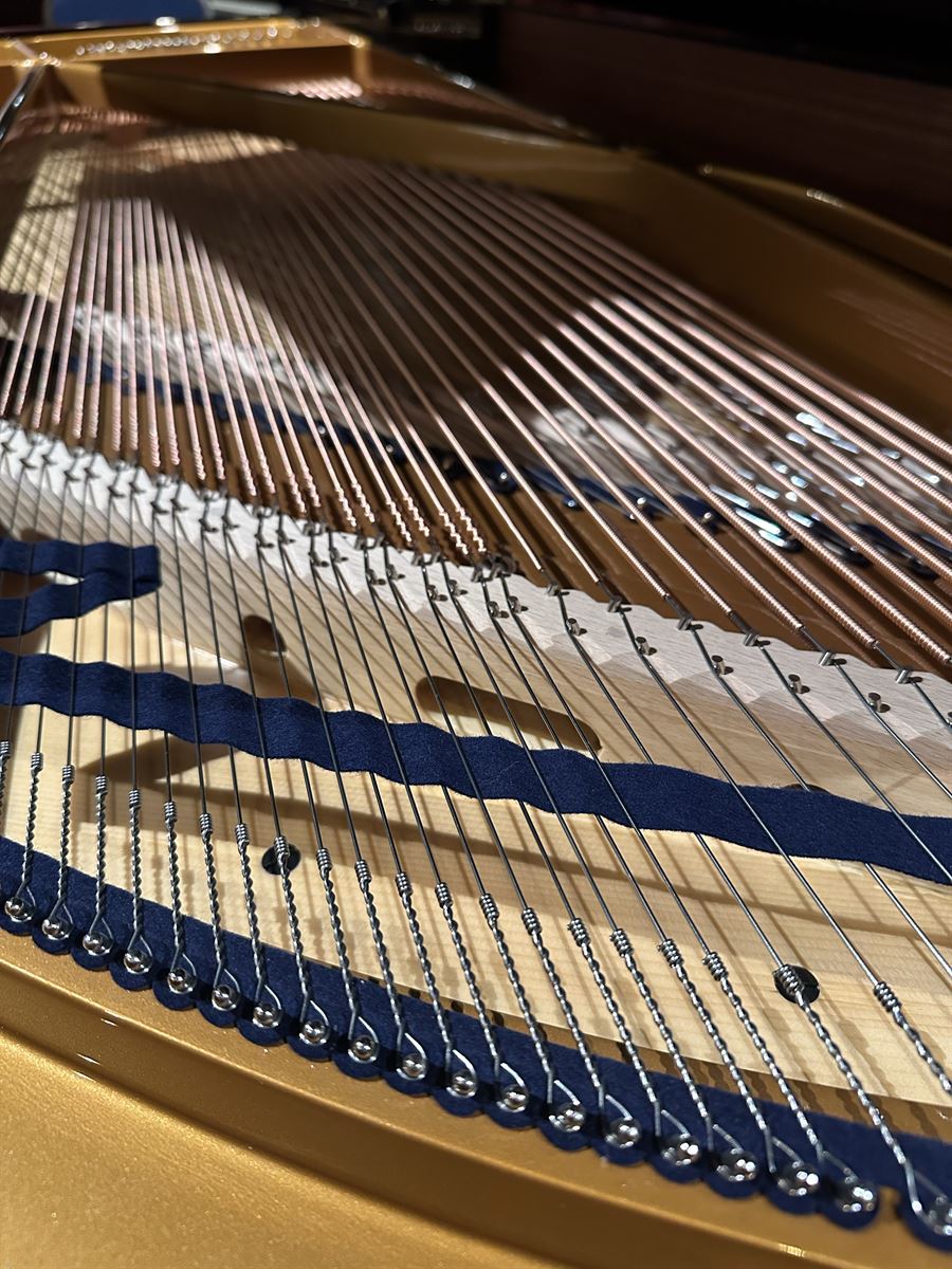 C Bechstein model B 6ft 8" c.1912